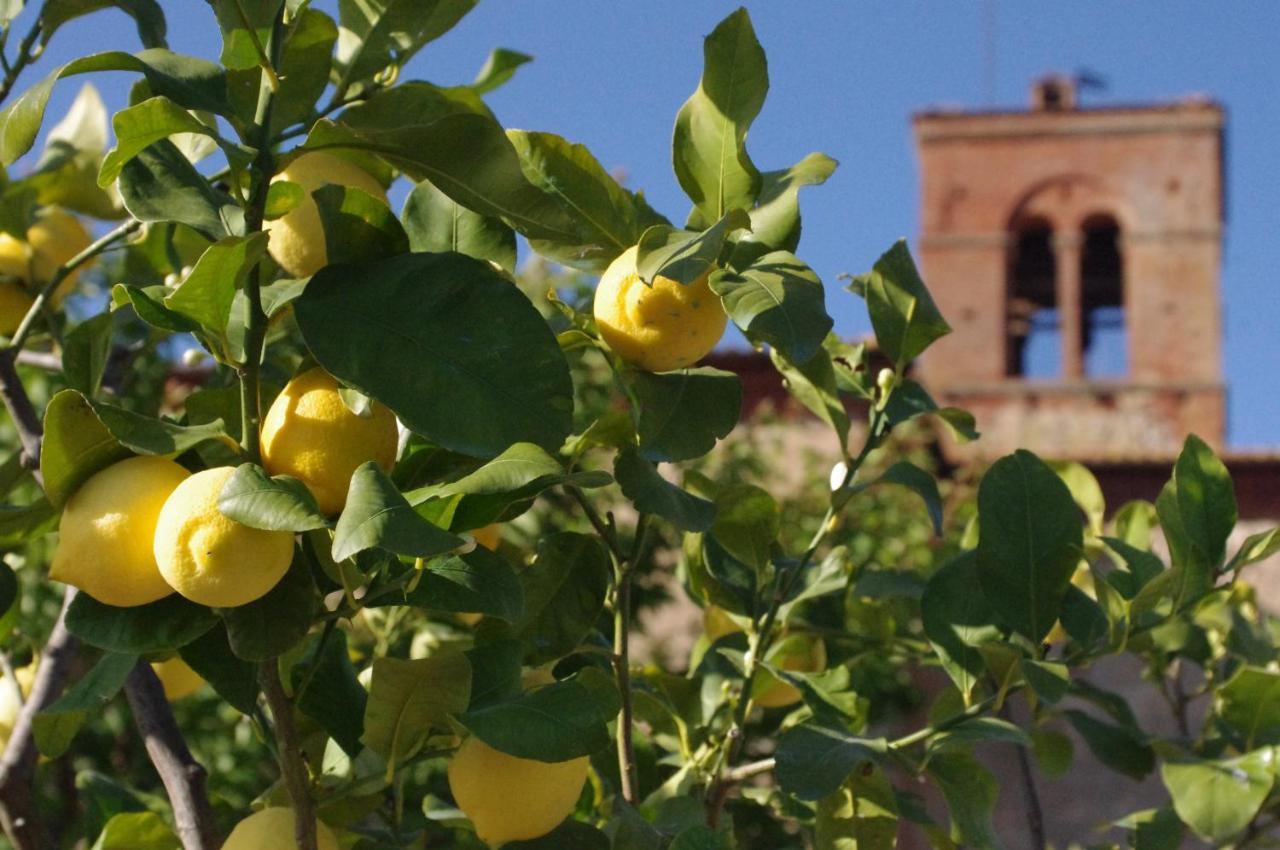 Monastero Sant'Anna In Camprena Villa Pienza Bagian luar foto