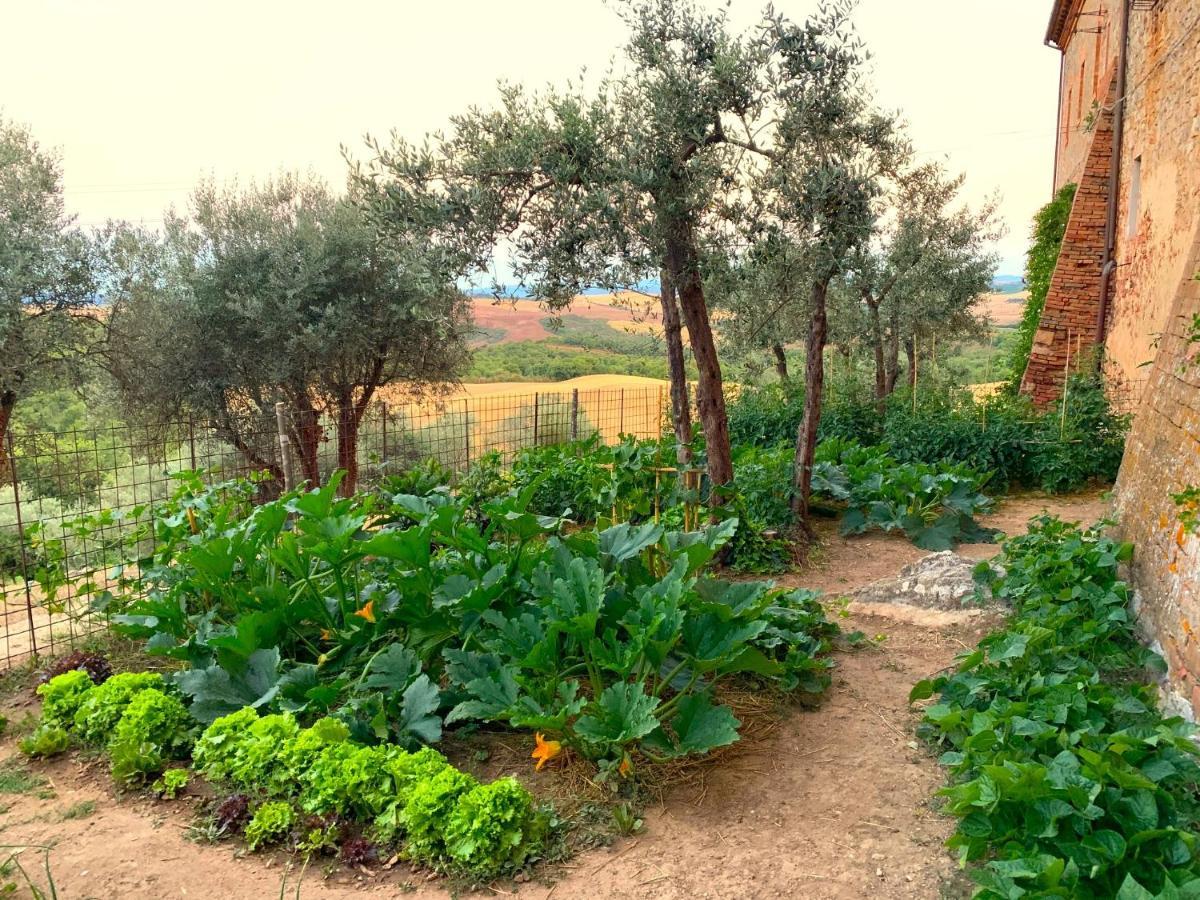 Fattoria Monastero Sant'Anna In Camprena Villa Pienza Bagian luar foto